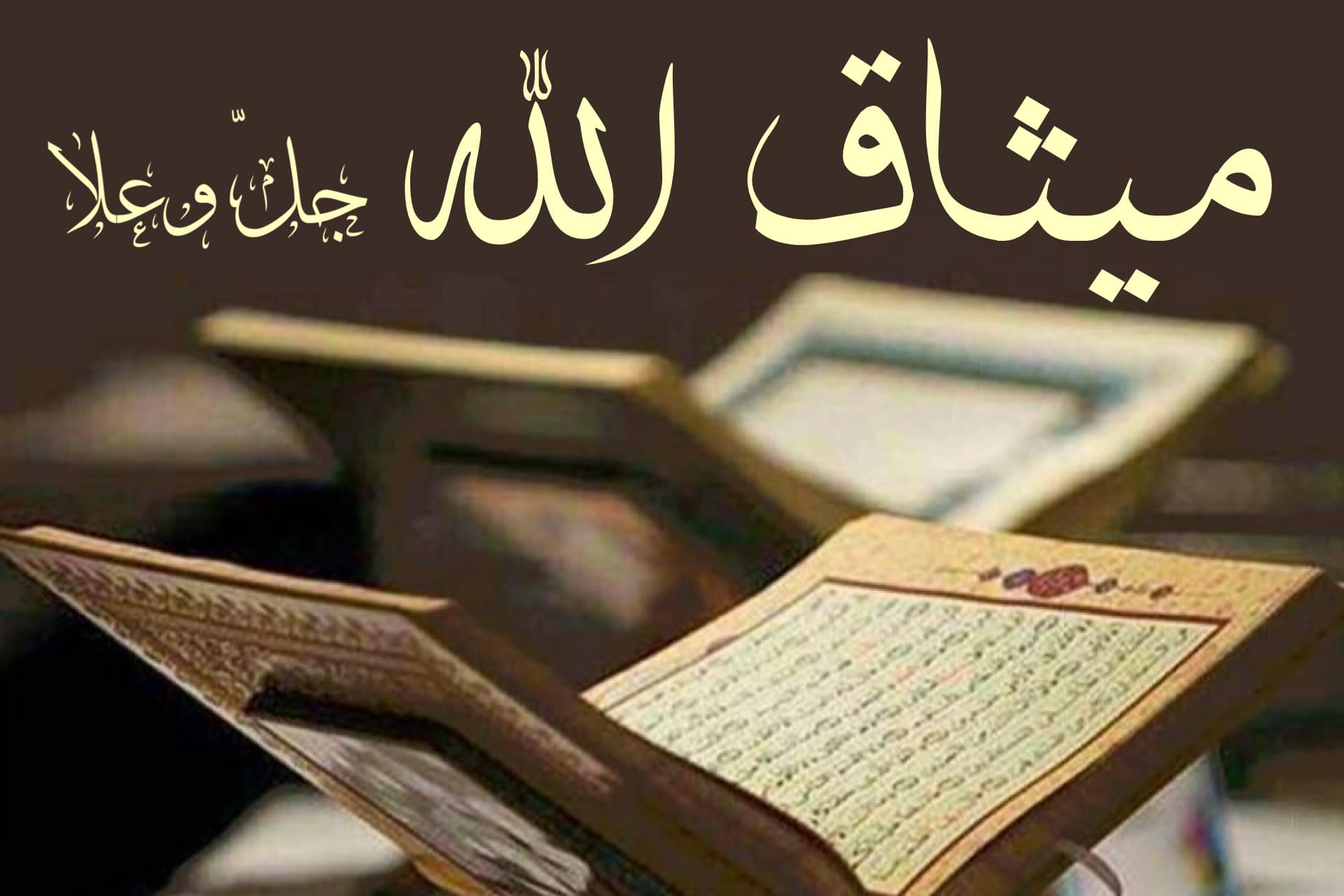 ميثاق الله عّز وجّل ؛