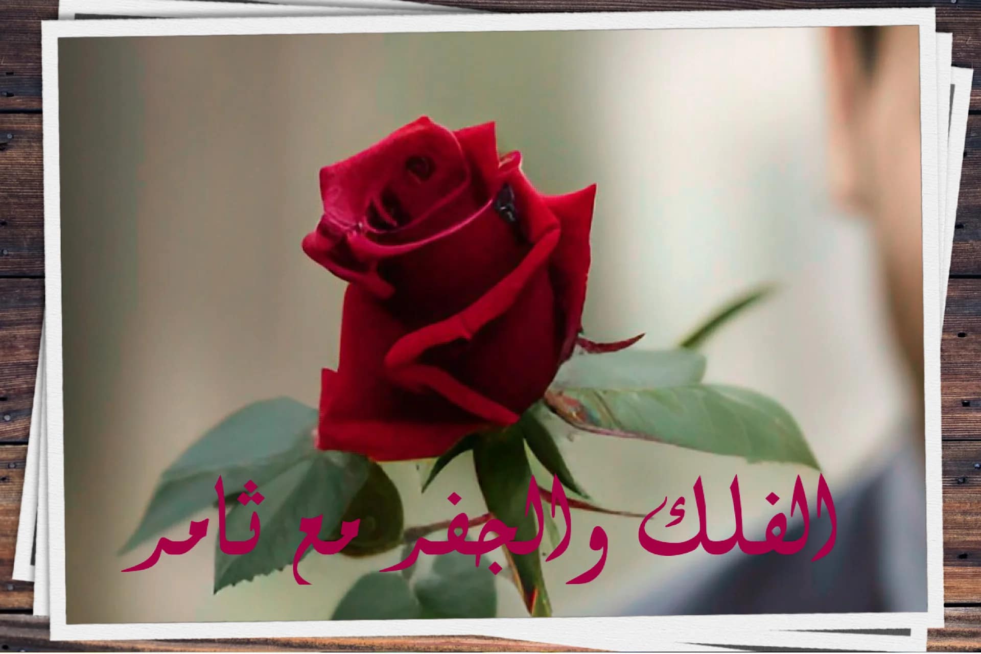 ثامريات