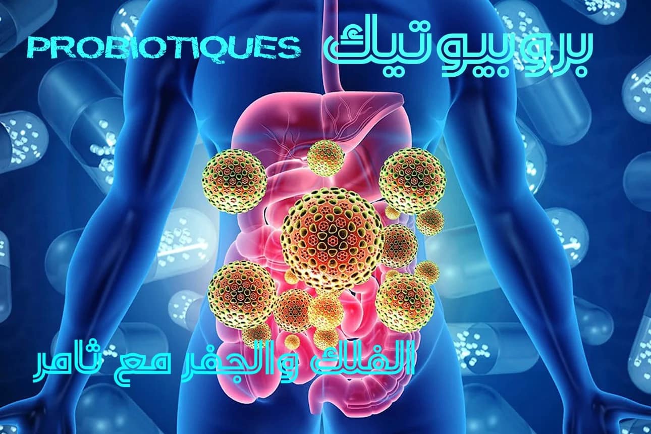 البروبيوتيك (Probiotics) وفوائدها