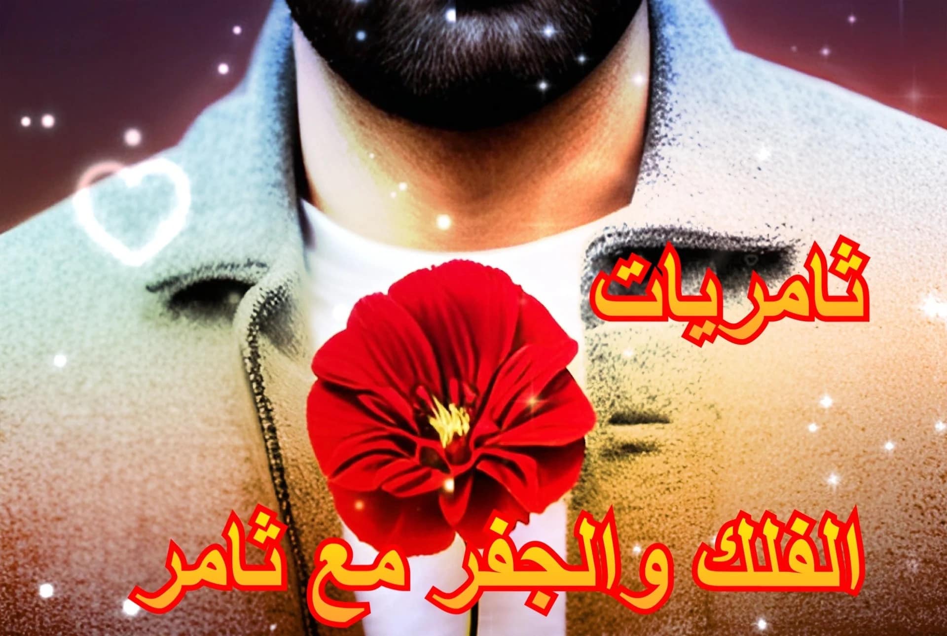 الطريق الى الوان الطيور